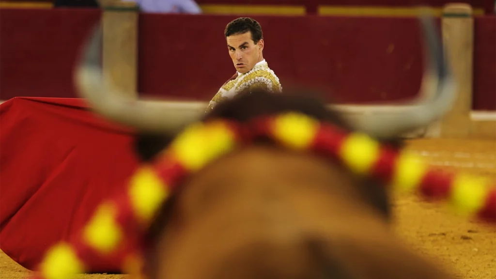 imagen de fernando adrián toreando en zaragoza 2025
