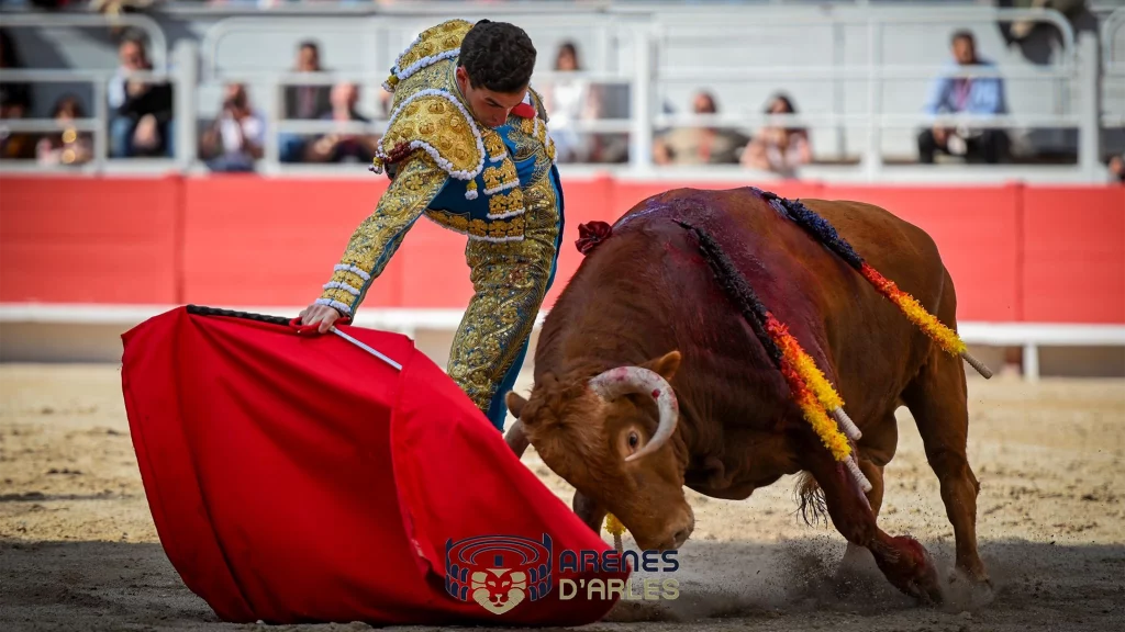 imagen de fernando adrian en arles francia 2025