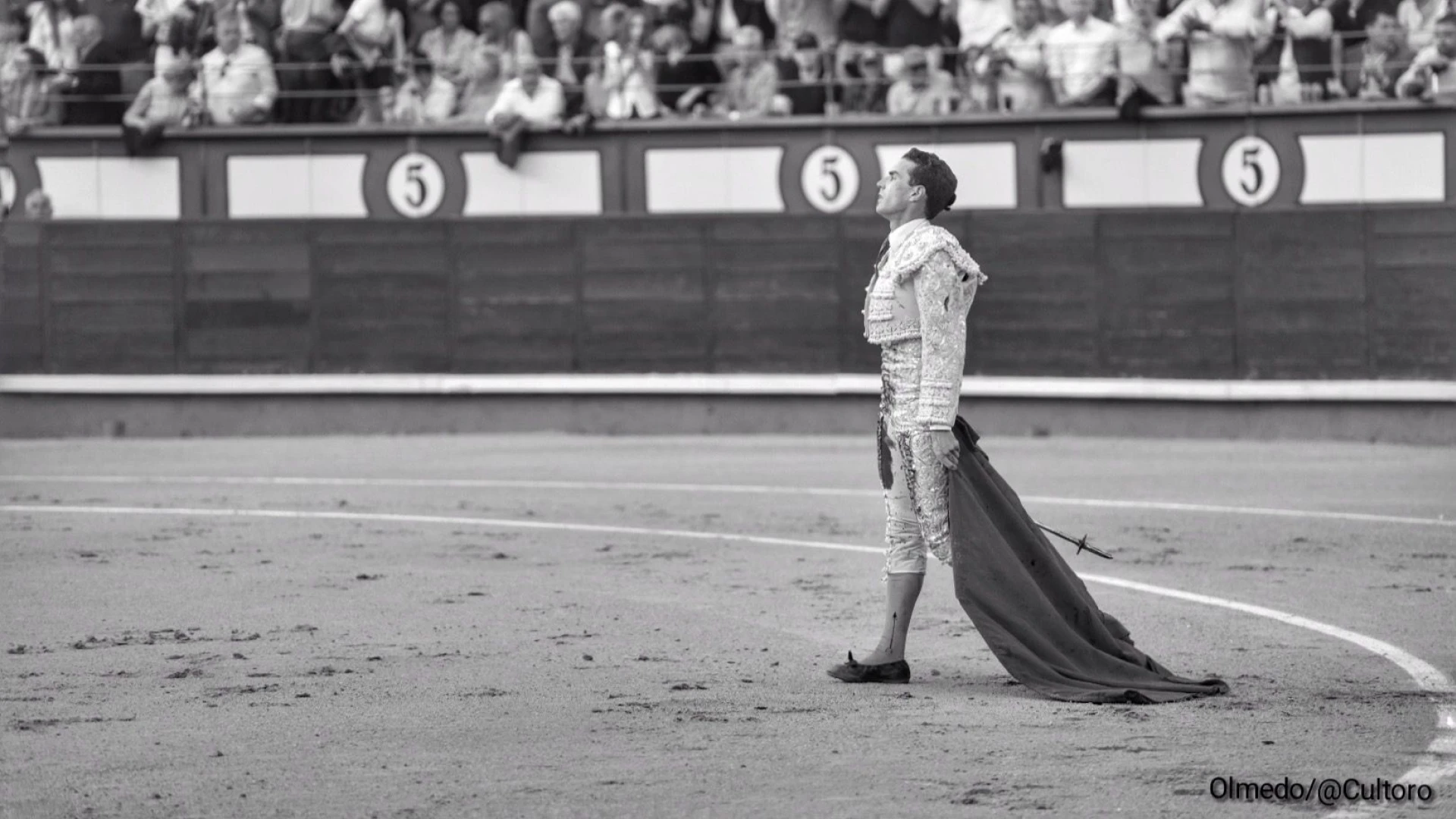 imagen del torero fernando adrián toreando en madrid