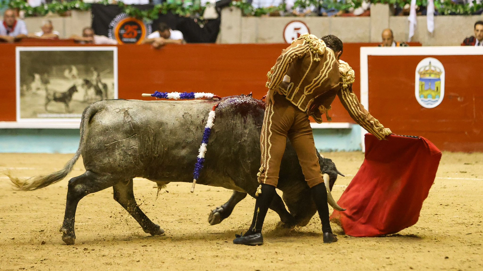 imagen de fernando adrián en la corrida de pontevedra en agosto de 2025