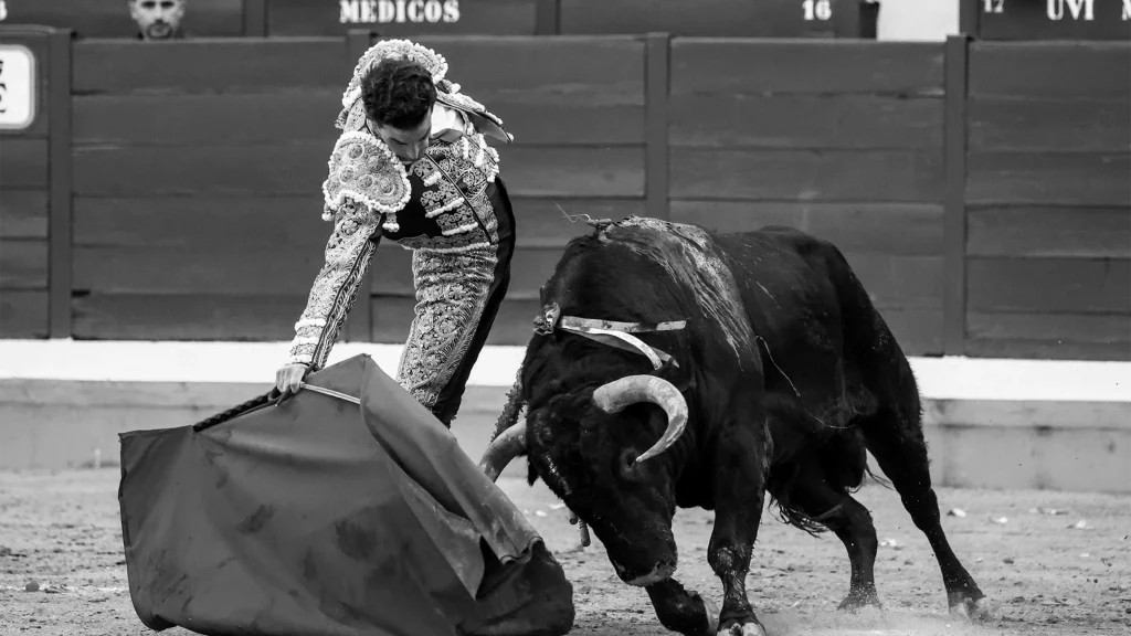 imagen de fernando adrian toreando en alcalá de henares 2025