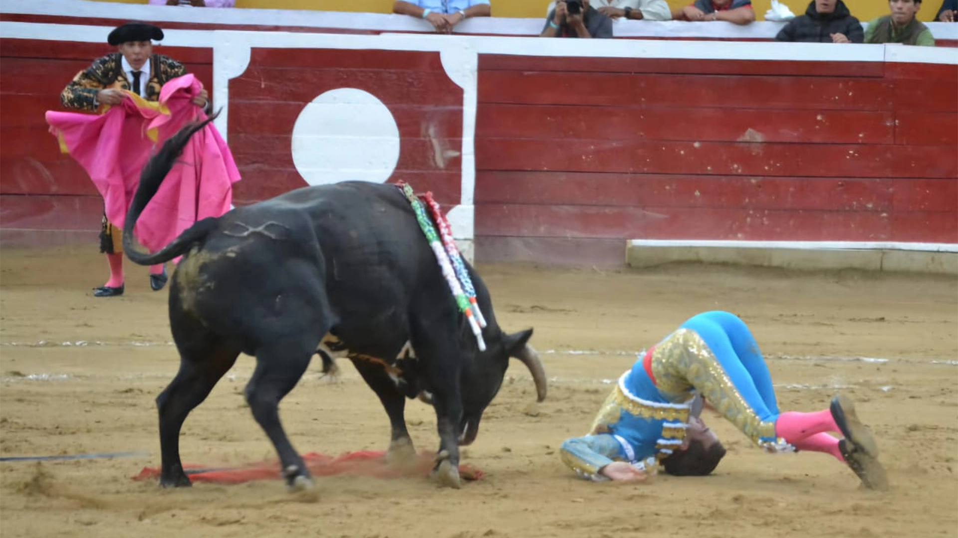 imagen del torero fernando adrian siendo cogido por el toro en la feria de Tovar