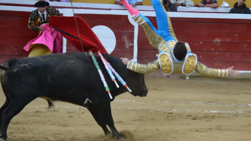 imagen del torero fernando adrian siendo cogido por el toro en la feria de Tovar