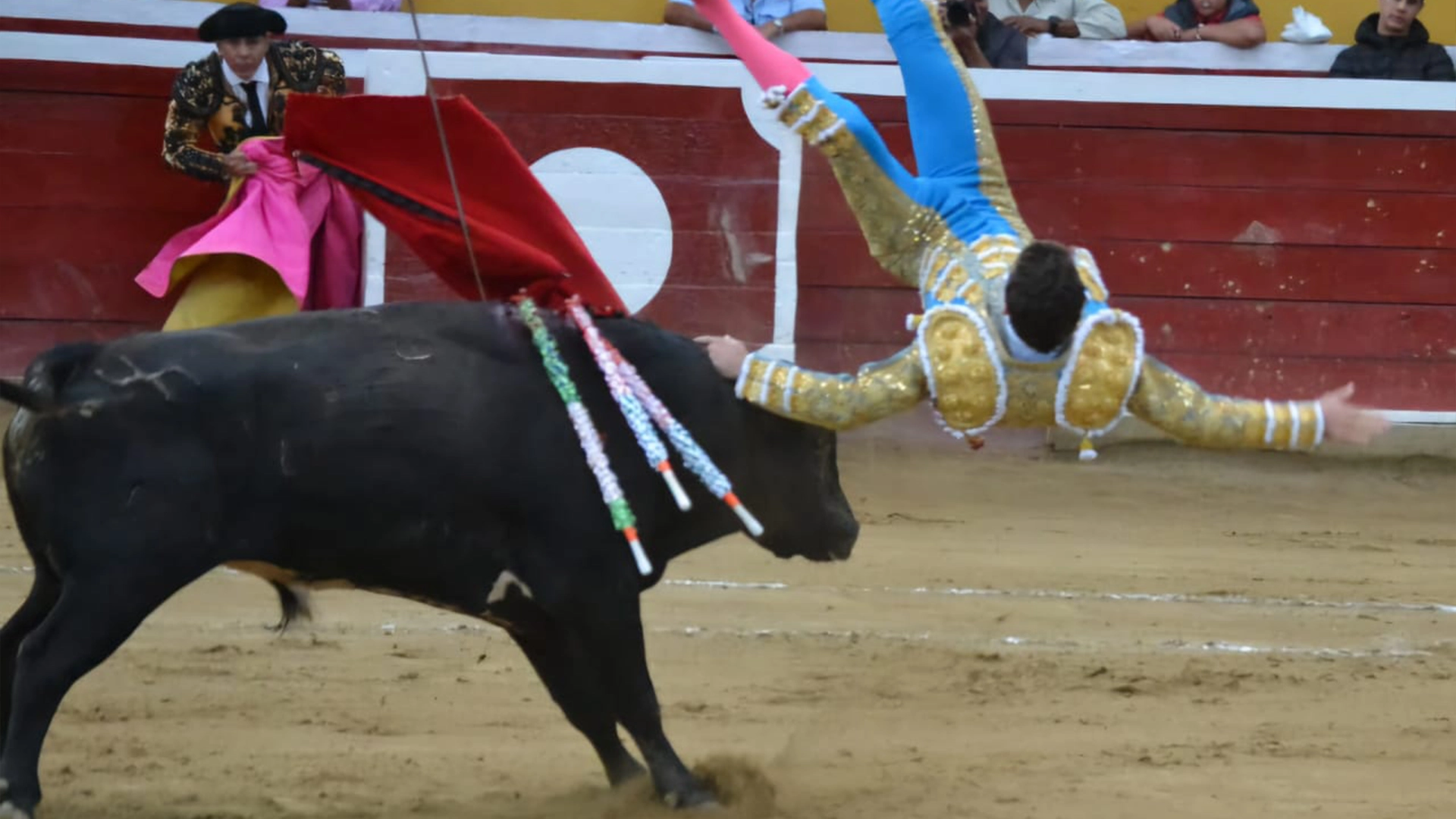 imagen del torero fernando adrian siendo cogido por el toro en la feria de Tovar